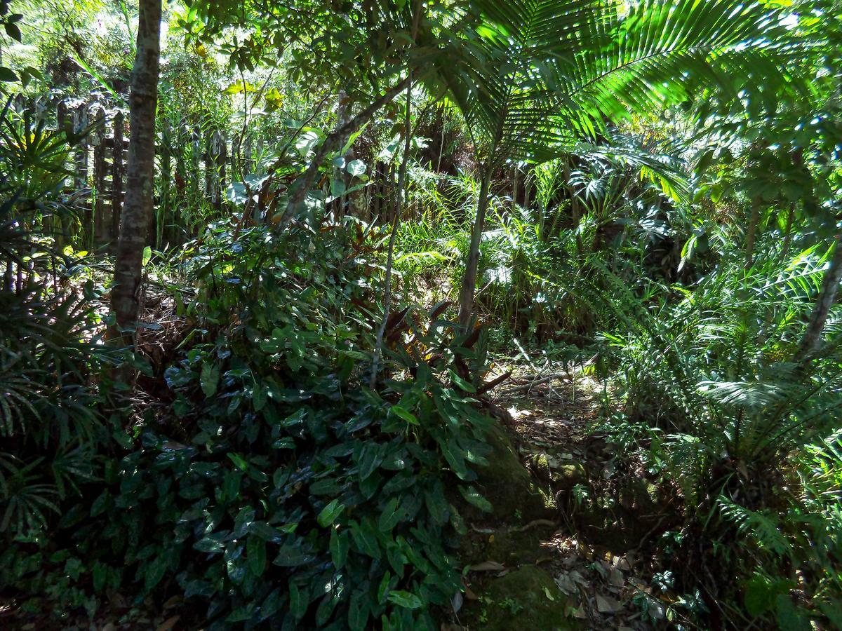 Laguna Guaruja Exterior photo